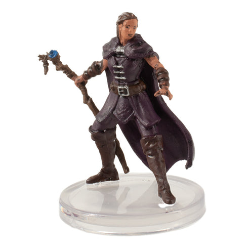 Druid - Icons of the Realms - Seas & Shores  #11